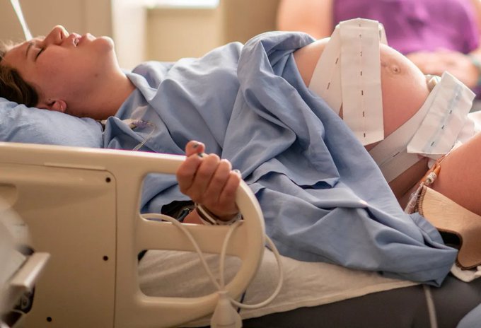 Image in tweet by The Vigilant Fox 🦊