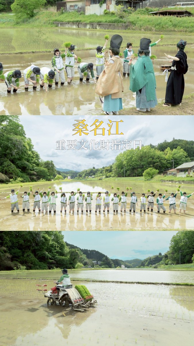 #5月25日は桑名江重文指定日
#5月25日は桑名江重要文化財指定記念日

　おめでとう🌾
　そして、めぐり逢いに感謝

#桑名江いっぱいお米育成日記