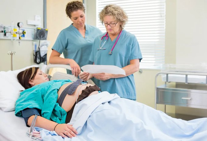 Image in tweet by The Vigilant Fox 🦊