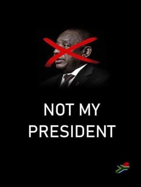 Buffel_SA's tweet photo. https://t.co/tYseKkMGmr