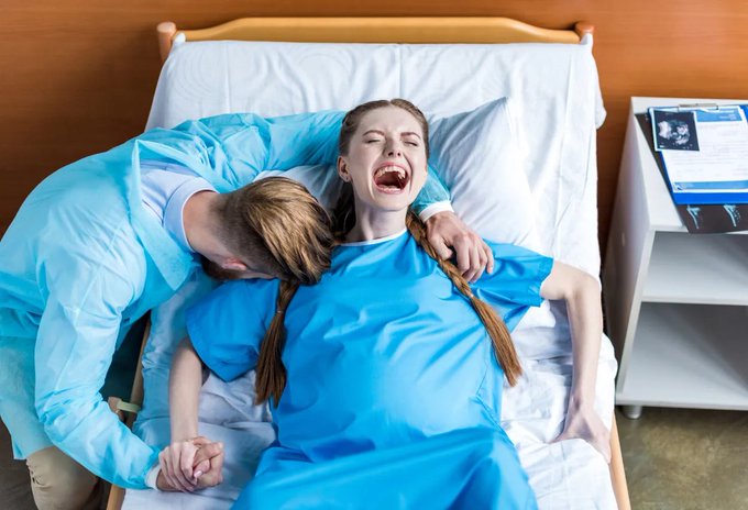 Image in tweet by The Vigilant Fox 🦊