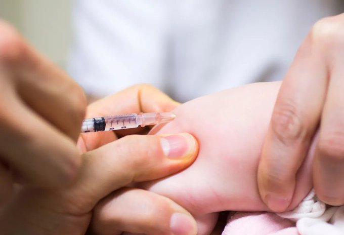 Image in tweet by The Vigilant Fox 🦊