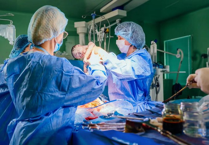 Image in tweet by The Vigilant Fox 🦊