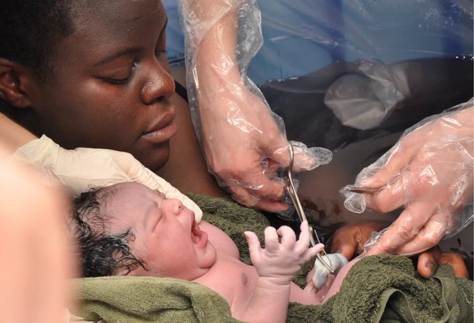 Image in tweet by The Vigilant Fox 🦊