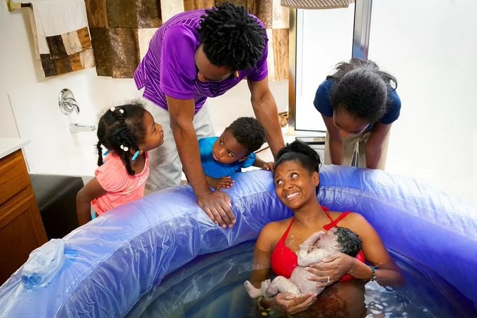 Image in tweet by The Vigilant Fox 🦊