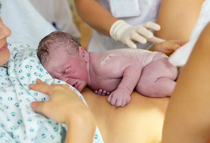 Image in tweet by The Vigilant Fox 🦊