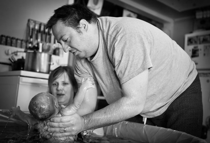 Image in tweet by The Vigilant Fox 🦊