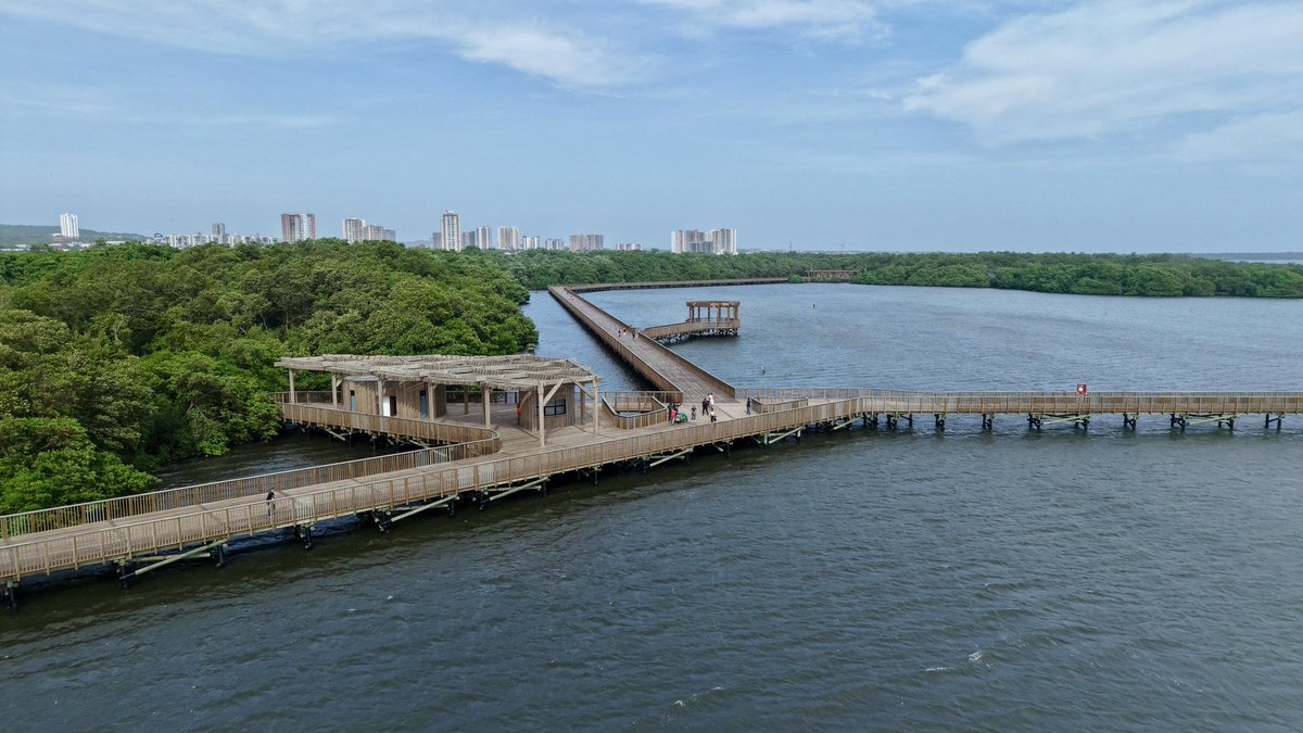 Entregamos la segunda etapa del Ecoparque Ciénaga de Mallorquín: nuestra joya natural.

Ahora los barranquilleros pueden recorrer un nuevo sendero de más de 2.5 kilómetros para disfrutar de las maravillas que nos regala nuestra biodiversidad.
Un espacio turístico para