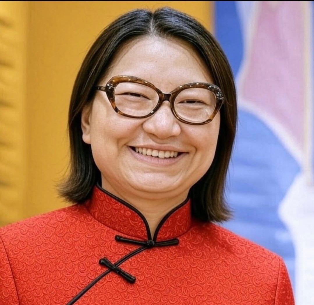 XI JiJanja quer a regulação democrática 🇨🇳