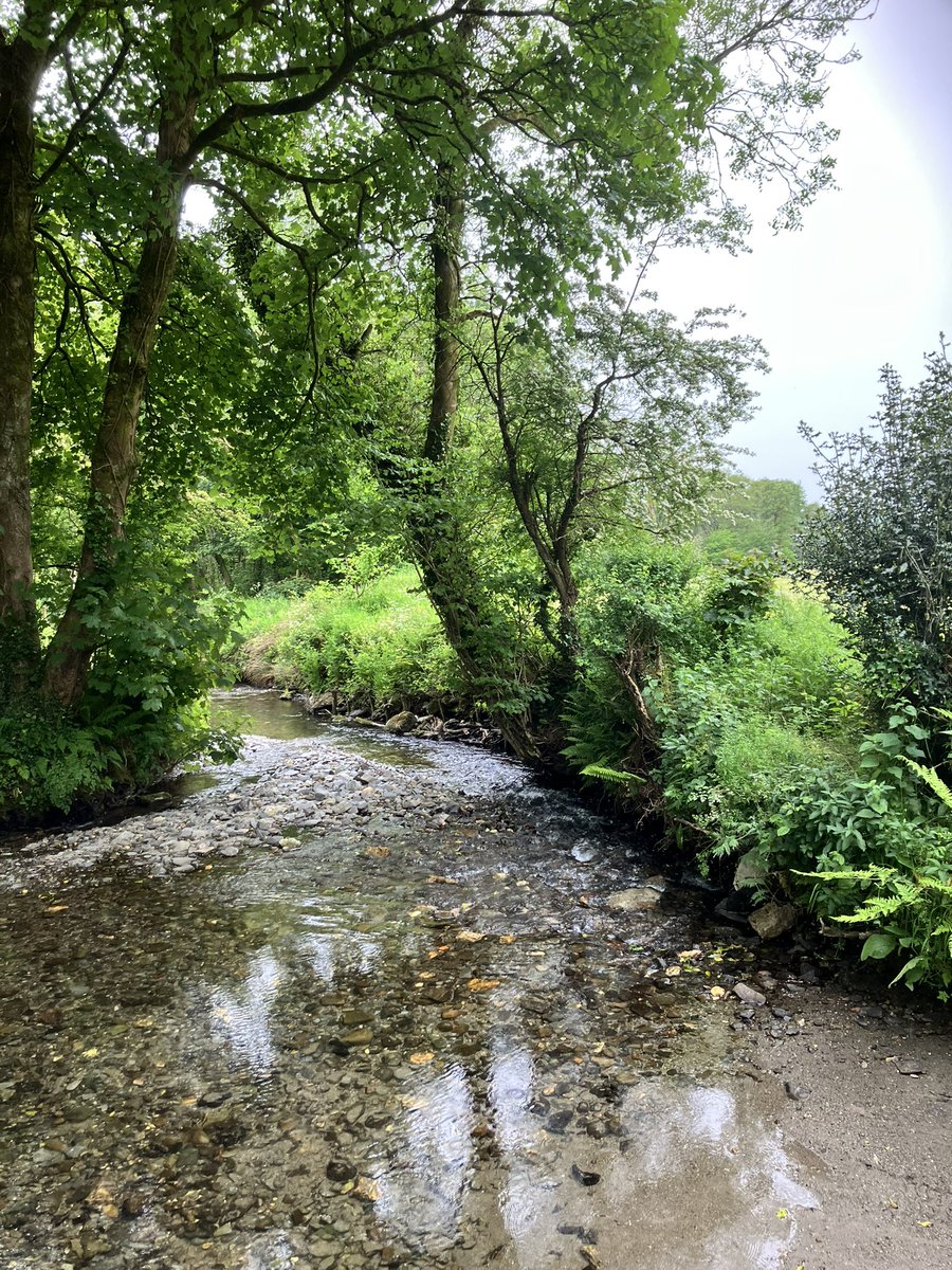 Rhidian Evans (@rhiders) on Twitter photo Noson hyfryd neithiwr i gerdded yng Nghastell Henllys
Lovely evening walk yesterday at Castell Henllys
<a href="/PembsCoast/">Pembrokeshire Coast National Park</a> <a href="/S4Ctywydd/">S4C Tywydd</a> <a href="/dylandavies34/">Dyl Davies</a> <a href="/DerekTheWeather/">Derek Brockway - weatherman</a> <a href="/ThePhotoHour/">#ThePhotoHour</a> <a href="/StormHour/">#StormHour</a> Noson hyfryd neithiwr i gerdded yng Nghastell Henllys
Lovely evening walk yesterday at Castell Henllys
<a href="/PembsCoast/">Pembrokeshire Coast National Park</a> <a href="/S4Ctywydd/">S4C Tywydd</a> <a href="/dylandavies34/">Dyl Davies</a> <a href="/DerekTheWeather/">Derek Brockway - weatherman</a> <a href="/ThePhotoHour/">#ThePhotoHour</a> <a href="/StormHour/">#StormHour</a>