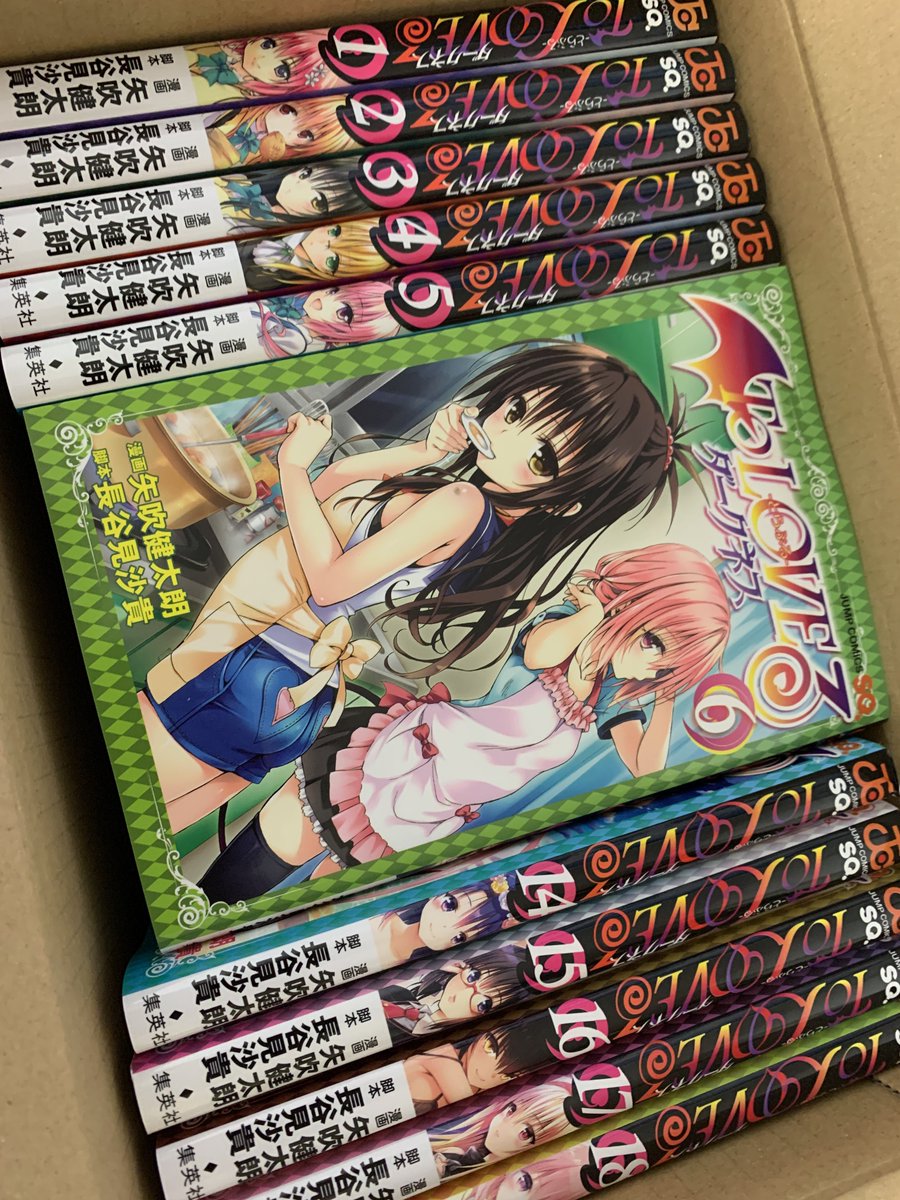 買っちゃった、小学生の頃に戻りますよ