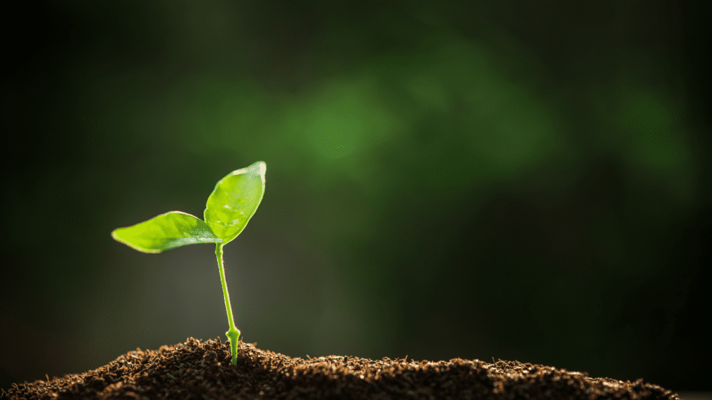 Today on the 10th anniversary of Pope Francis' landmark ecological encyclical Laudato Si', <a href="/emilymentock/">Emily Mae</a> shares her personal journey of how Laudato Si’ reshaped her faith. ow.ly/iq0750VYfX0 🌱