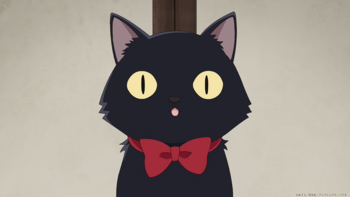 感謝価格(‗- ·̫ -‗^)ꪆ  ❤︎あ〜ん❣️サマークラッシュ黒猫ちゃん ◌𓈒𓐍┈┈ TVアニメ 『mono』 ⓃⒺⓌ ⒸⒽⒶⓇⒶⒸⓉⒺⓇ ┈┈ ◌𓈒𓐍