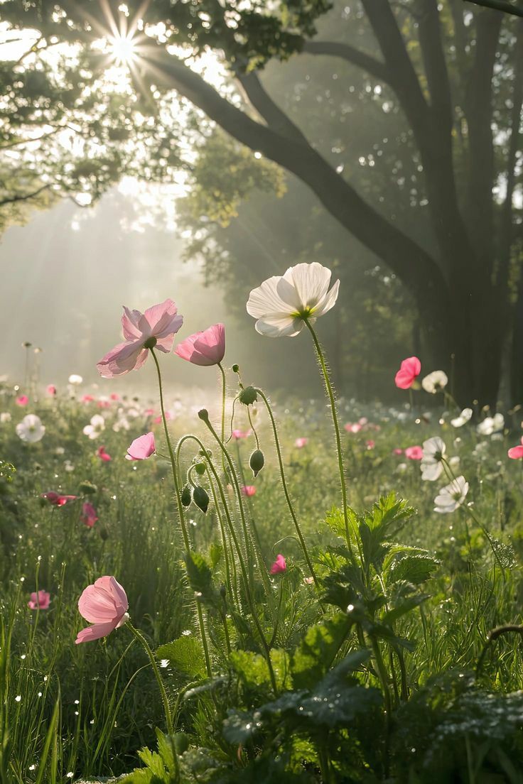 Liy0tha's tweet photo. Out of the forest I come with my flowers, singing, all alone. https://t.co/dkc2XjB5gh