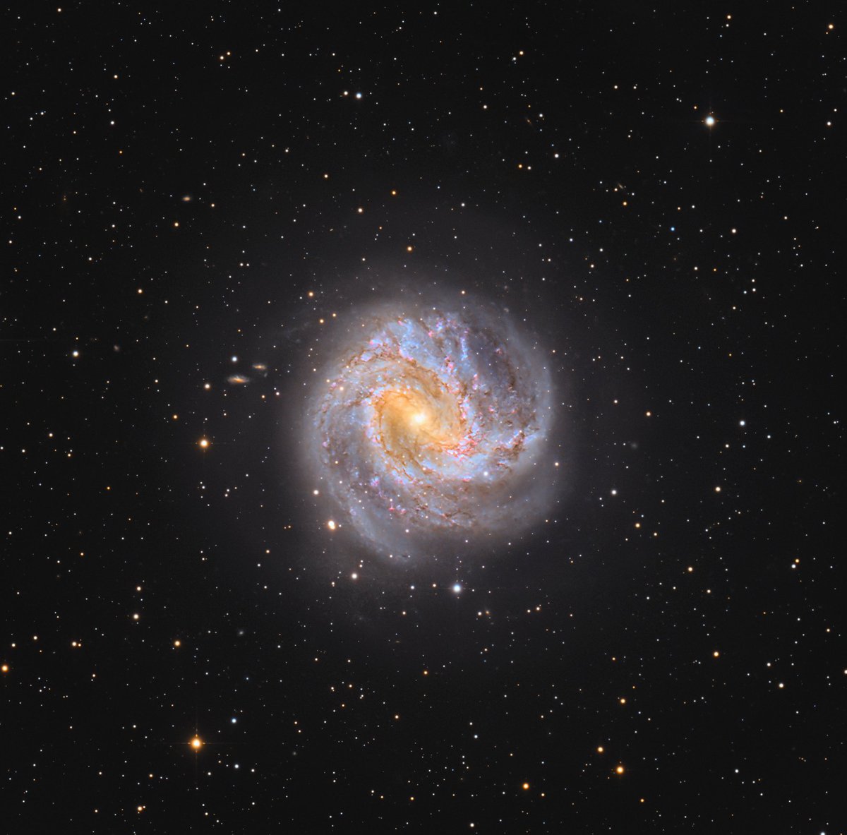 chucksastropho1's tweet image. My latest.  M83, the Southern Pinwheel Galaxy, is 15 million light-years away.  It is one of the closest and brightest barred spiral galaxies and is visible with binoculars.   

Celestron RASA telescope
ZWO ASI533MC color camera
Antlia L-Filter
Starfront Observatories, TX