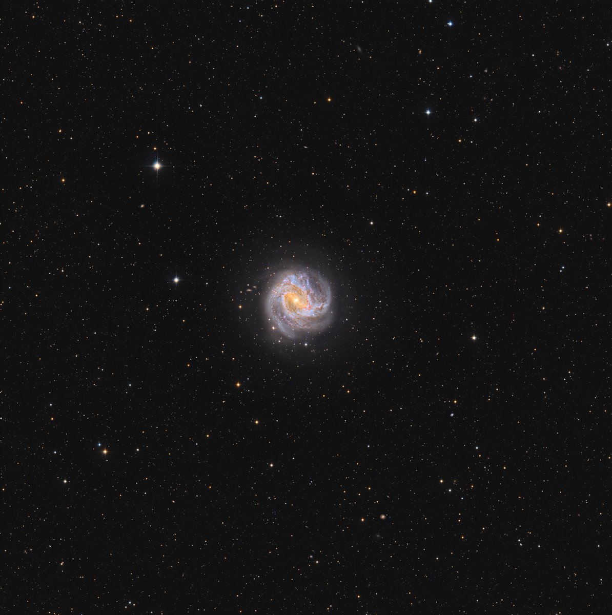 chucksastropho1's tweet image. My latest.  M83, the Southern Pinwheel Galaxy, is 15 million light-years away.  It is one of the closest and brightest barred spiral galaxies and is visible with binoculars.   

Celestron RASA telescope
ZWO ASI533MC color camera
Antlia L-Filter
Starfront Observatories, TX