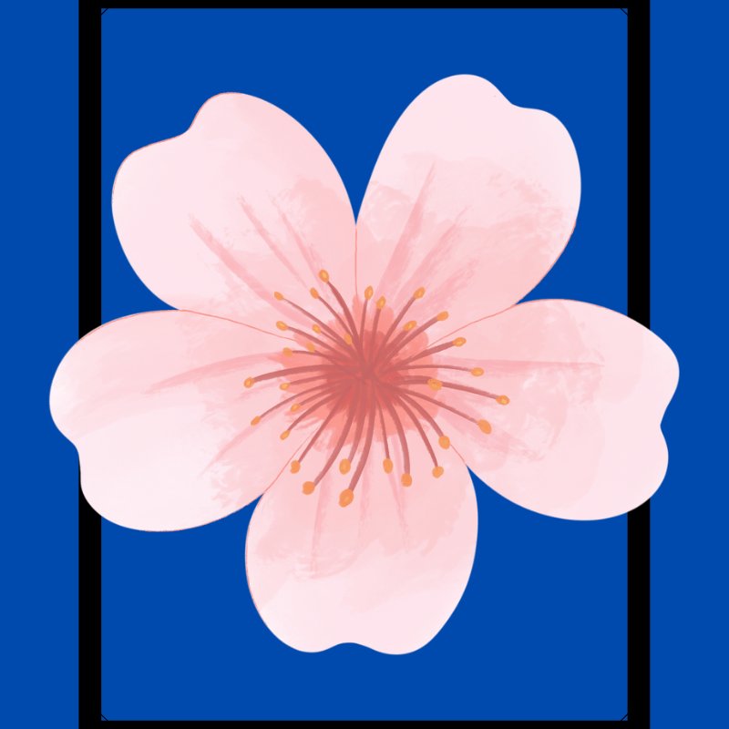 Samridhi Chhabra tweet media