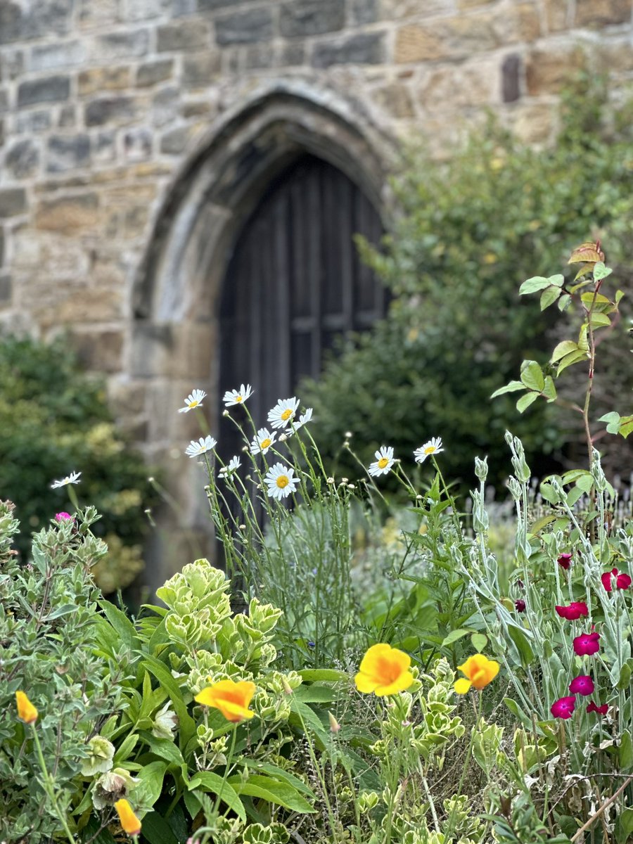 You’re warmly invited to join us at Sunday’s services which are
9.00am        Matins, BCP, All Saints’, Highbrook. 
10.30am      Eucharist, St. Margaret’s, West Hoathly.