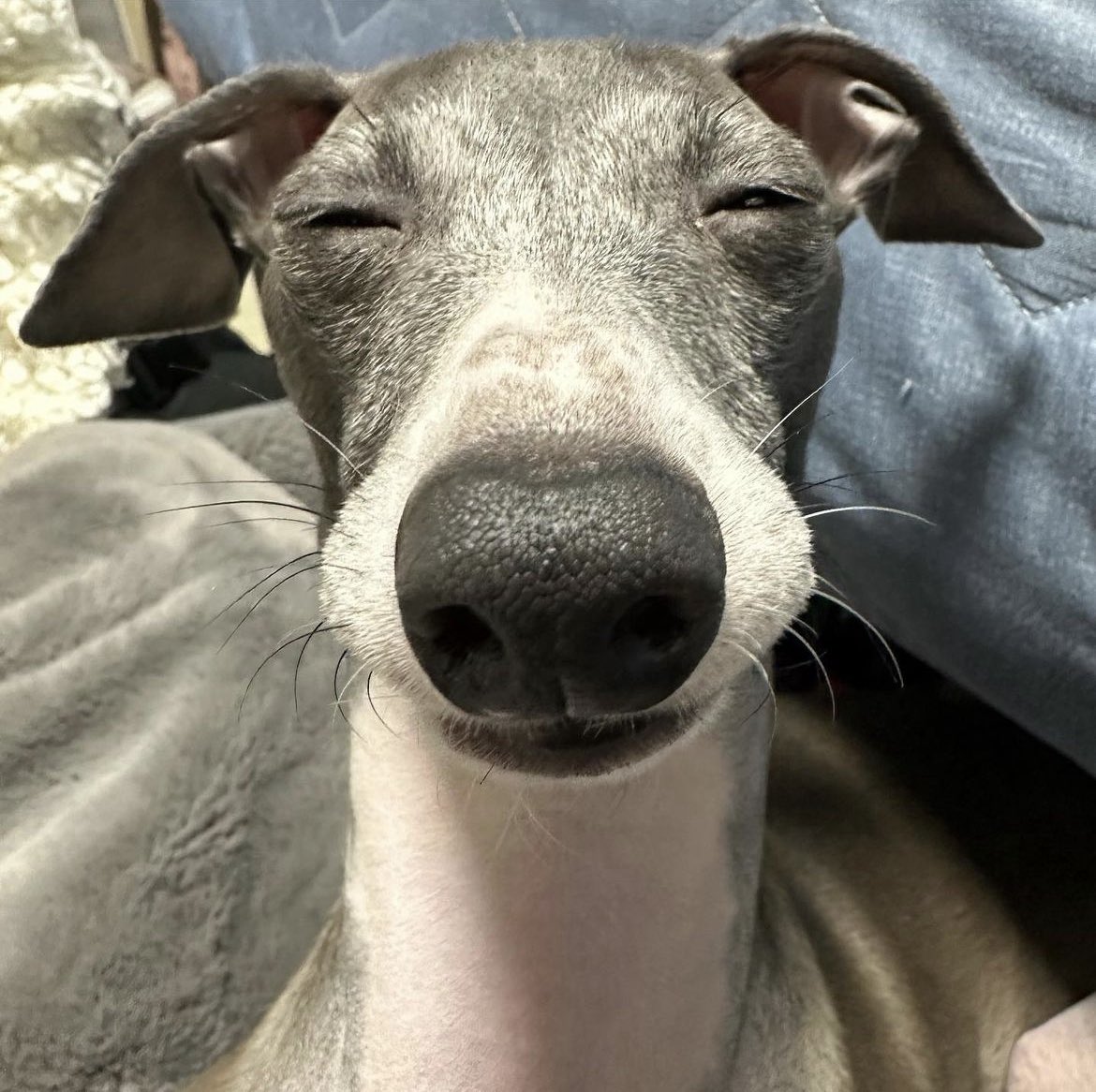 buggthnn's tweet image. 실시간 징리텐더 듣고 있는 나 :