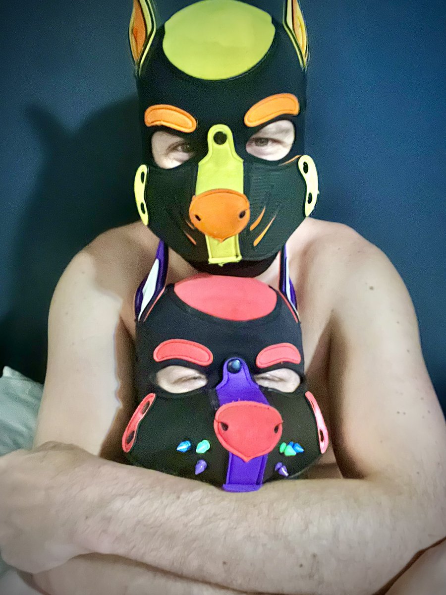 Daddy Pup Zee tweet media