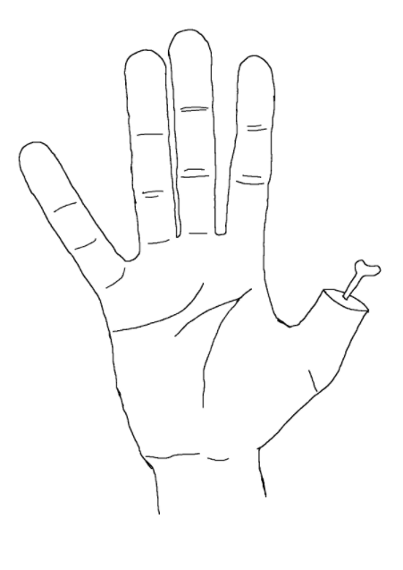 zeroToHeroPaint's tweet photo. practicing drawing my hand, for some reason I had difficulty with the thumb so I removed it https://t.co/wtHZBgFQ1y