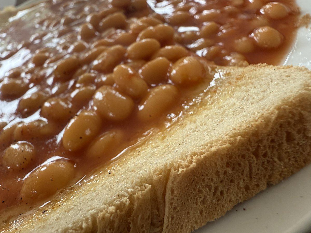 mRr3b00t tweet media