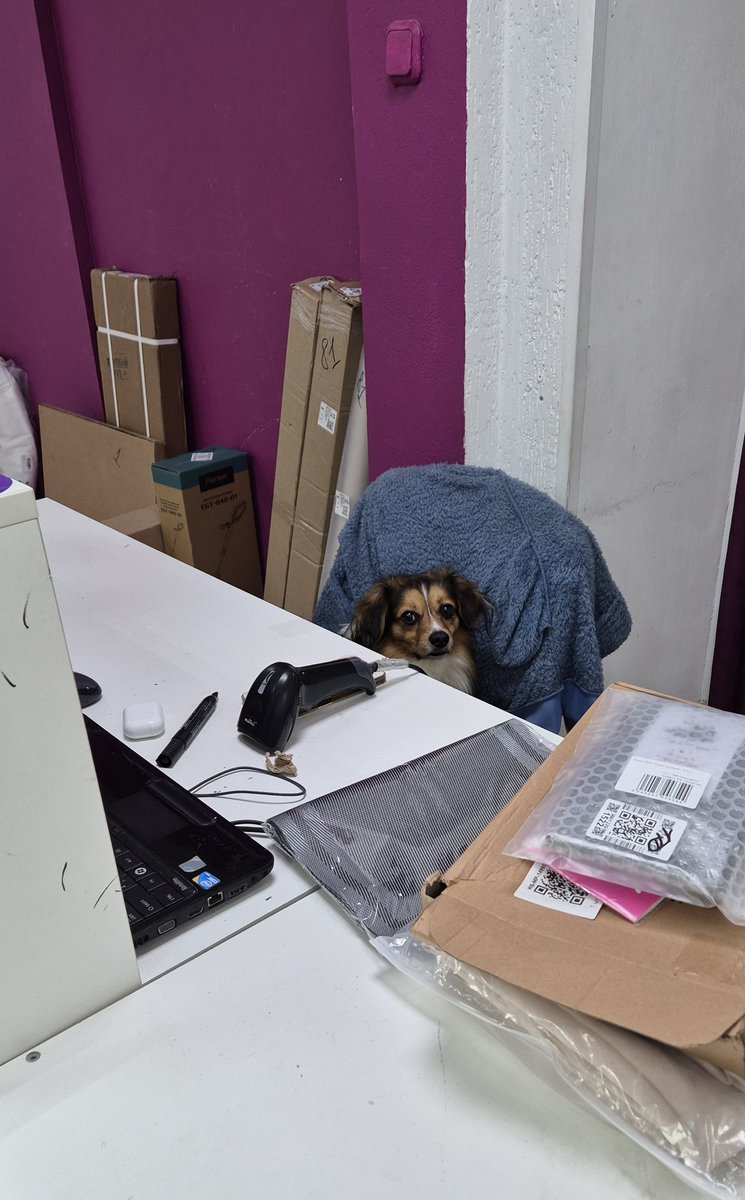 Прихожу значит забрать заказ с wb...