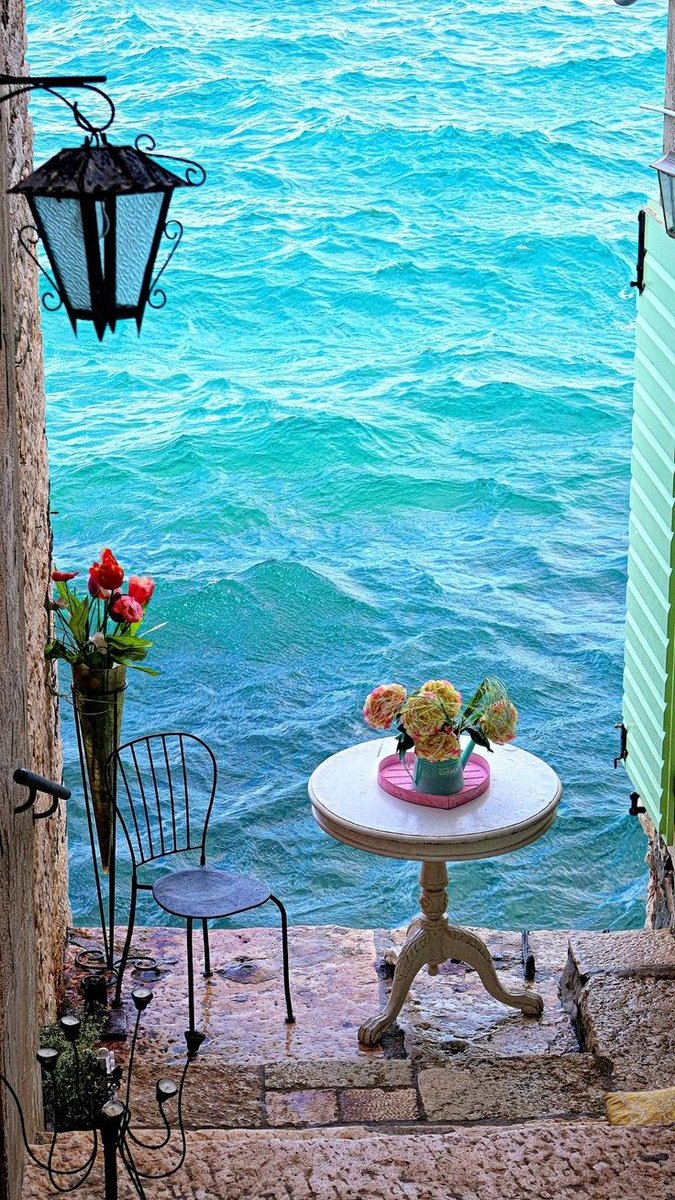 Good morning everyone ☀️🩵
#GoodVibesOnly