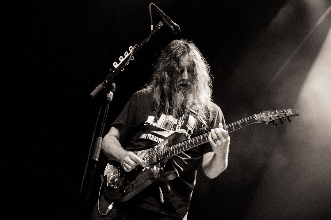 MrBungle tweet media