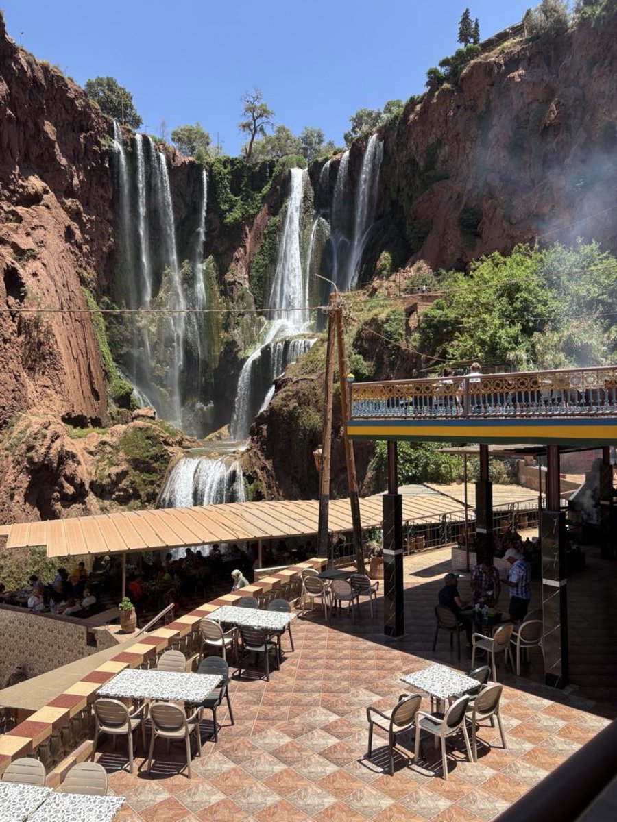 HyderAli1993's tweet image. Beef, lamb, and chicken BBQ. #NoJeets 🚫