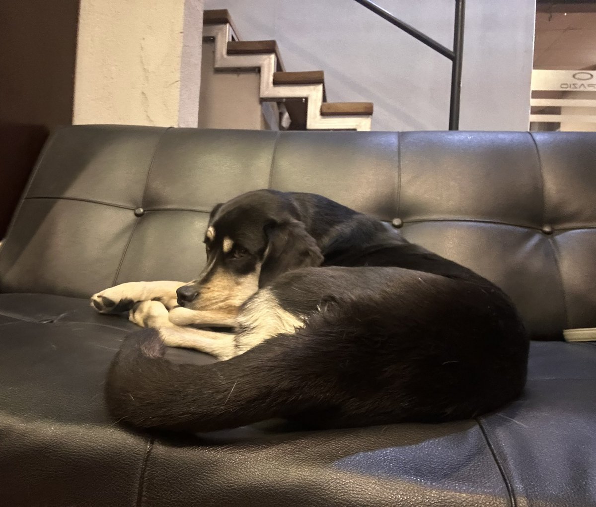 Nada cuesta ser amable y abrir las puertas de un negocio a los callejeritos en esta época fría