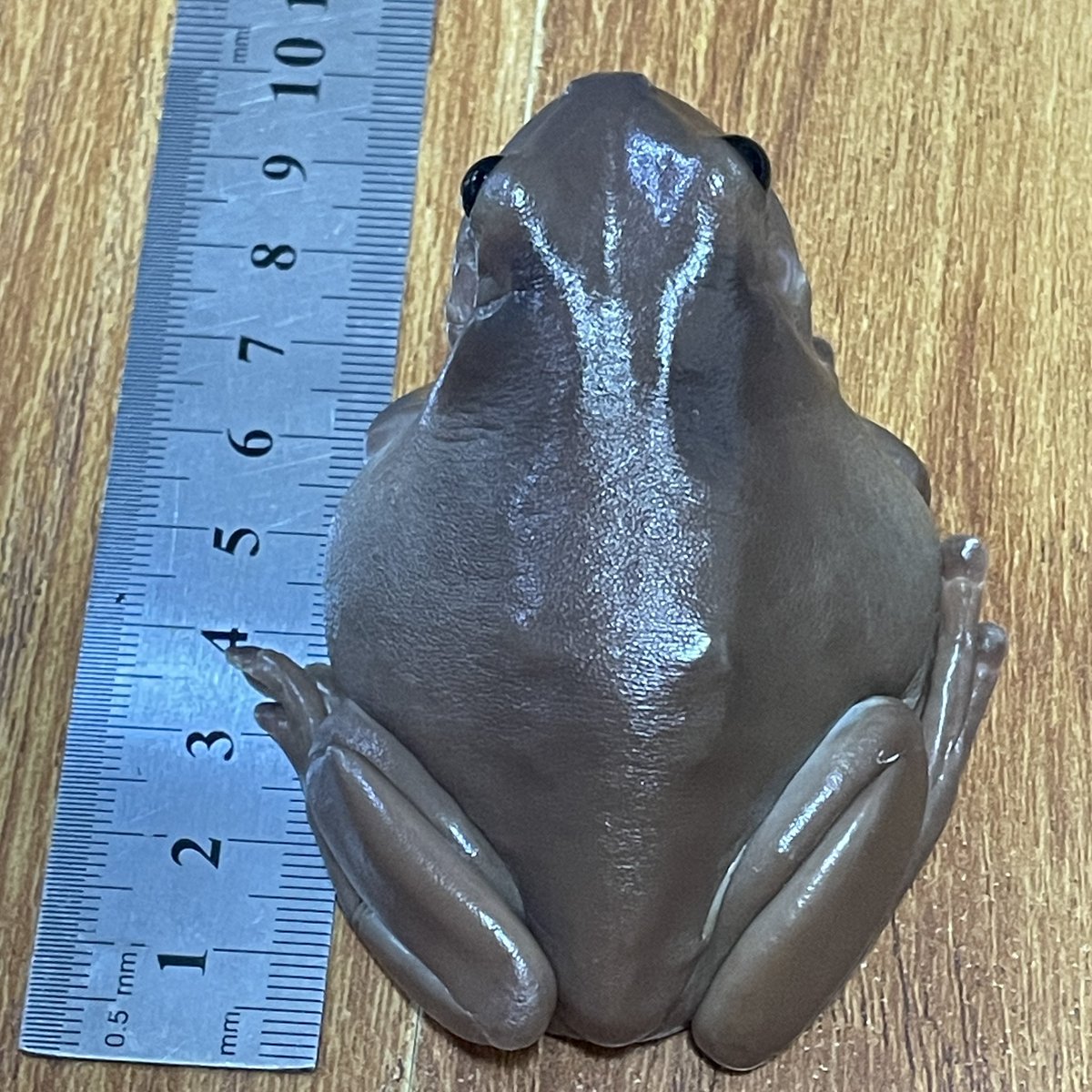 车恩胜sy (@shiyuuuu_) on Twitter photo 