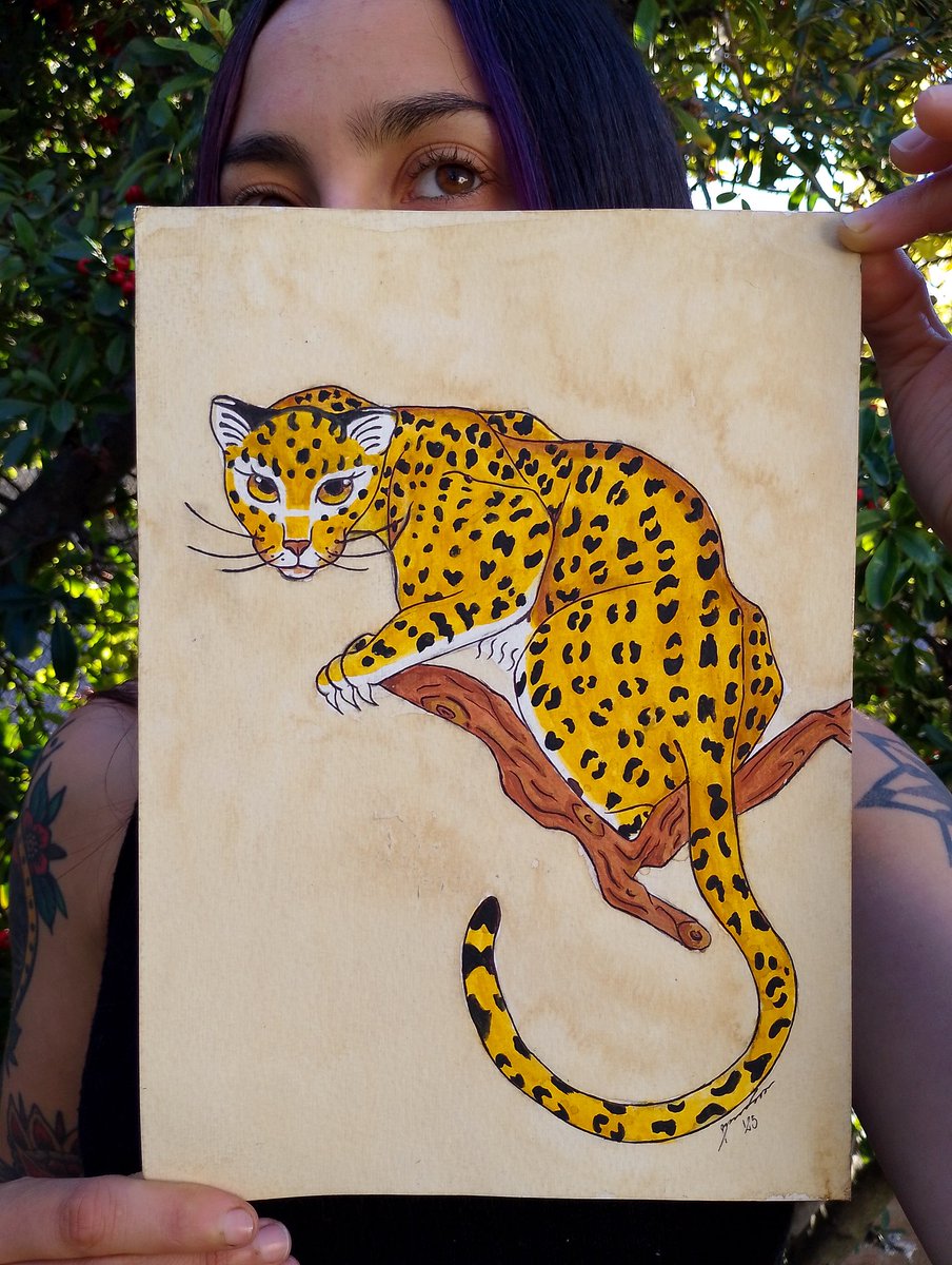 ximenakso's tweet photo. Estudio estudio y más estudio 🐆 https://t.co/PPI7ZbuotV