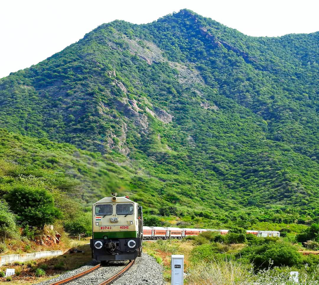 Observer (@observersvoice) on Twitter photo .<a href="/NWRailways/">North Western Railway</a> और <a href="/SWRRLY/">South Western Railway</a> रेलवे से निवेदन है की ट्रेन संख्या 06557/58 सर एम विश्वेश्वरैया-भगत की कोठी(जोधपुर) साप्ताहिक स्पेशल रेलसेवा के फेरों में विस्तार करें ताकि क्षेत्र के लाखों प्रवासीओं को आवागमन में सुविधा उपलब्ध हो।
<a href="/RailwaySeva/">RailwaySeva</a> <a href="/DRMJodhpurNWR/">DRM JODHPUR</a> <a href="/drmsbc/">DRM Bengaluru</a> <a href="/RailMinIndia/">Ministry of Railways</a> .<a href="/NWRailways/">North Western Railway</a> और <a href="/SWRRLY/">South Western Railway</a> रेलवे से निवेदन है की ट्रेन संख्या 06557/58 सर एम विश्वेश्वरैया-भगत की कोठी(जोधपुर) साप्ताहिक स्पेशल रेलसेवा के फेरों में विस्तार करें ताकि क्षेत्र के लाखों प्रवासीओं को आवागमन में सुविधा उपलब्ध हो।
<a href="/RailwaySeva/">RailwaySeva</a> <a href="/DRMJodhpurNWR/">DRM JODHPUR</a> <a href="/drmsbc/">DRM Bengaluru</a> <a href="/RailMinIndia/">Ministry of Railways</a>