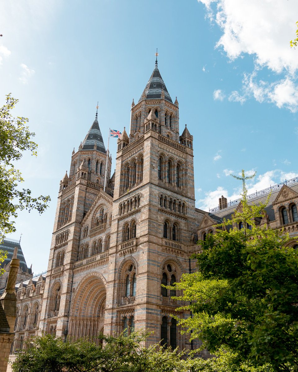 Natural History Museum (@nhm_london) on Twitter photo There’s only two weeks until <a href="/ExRdFestival/">Great Exhibition Road Festival</a>!
Each summer, the Great Exhibition Road Festival celebrates science and the arts through free talks, tours and events for all ages. 🧪🎨 There’s only two weeks until <a href="/ExRdFestival/">Great Exhibition Road Festival</a>!
Each summer, the Great Exhibition Road Festival celebrates science and the arts through free talks, tours and events for all ages. 🧪🎨