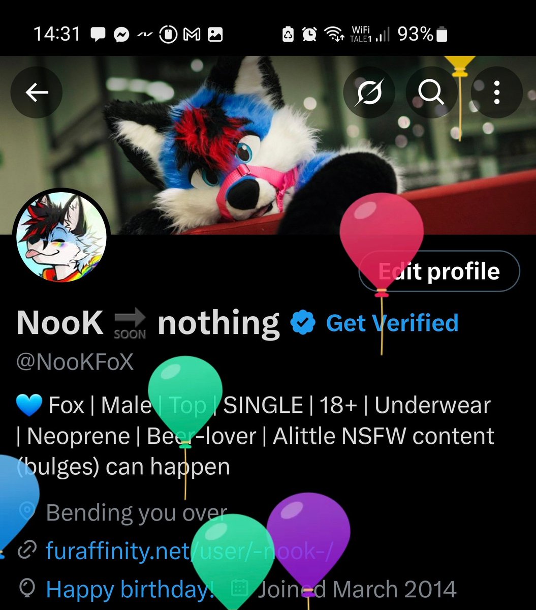 NooK 🔜 nothing (@NooKFoX) / Posts / X