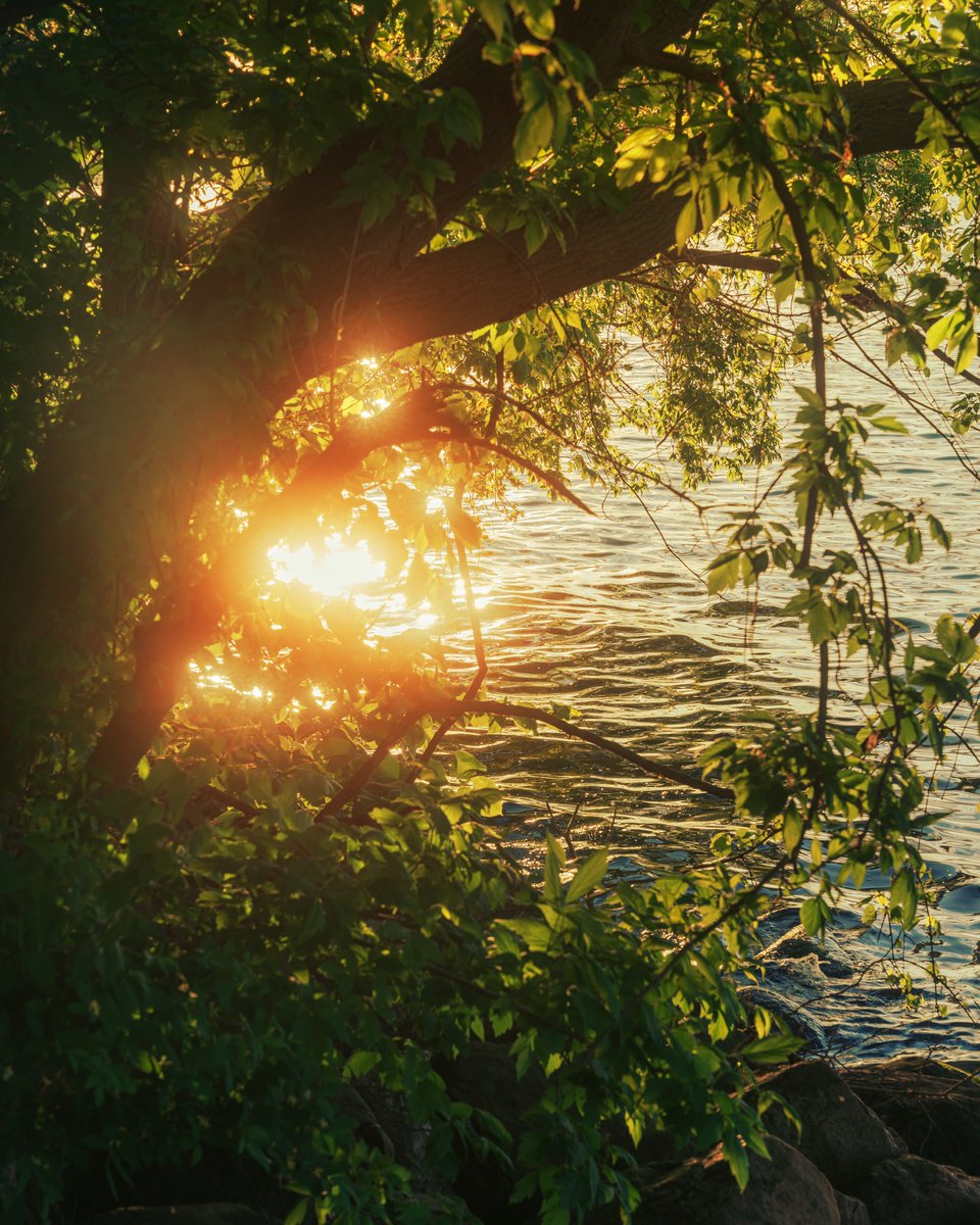 _thecolorfulkid's tweet photo. Life by the lake https://t.co/HQV7BGJDyj