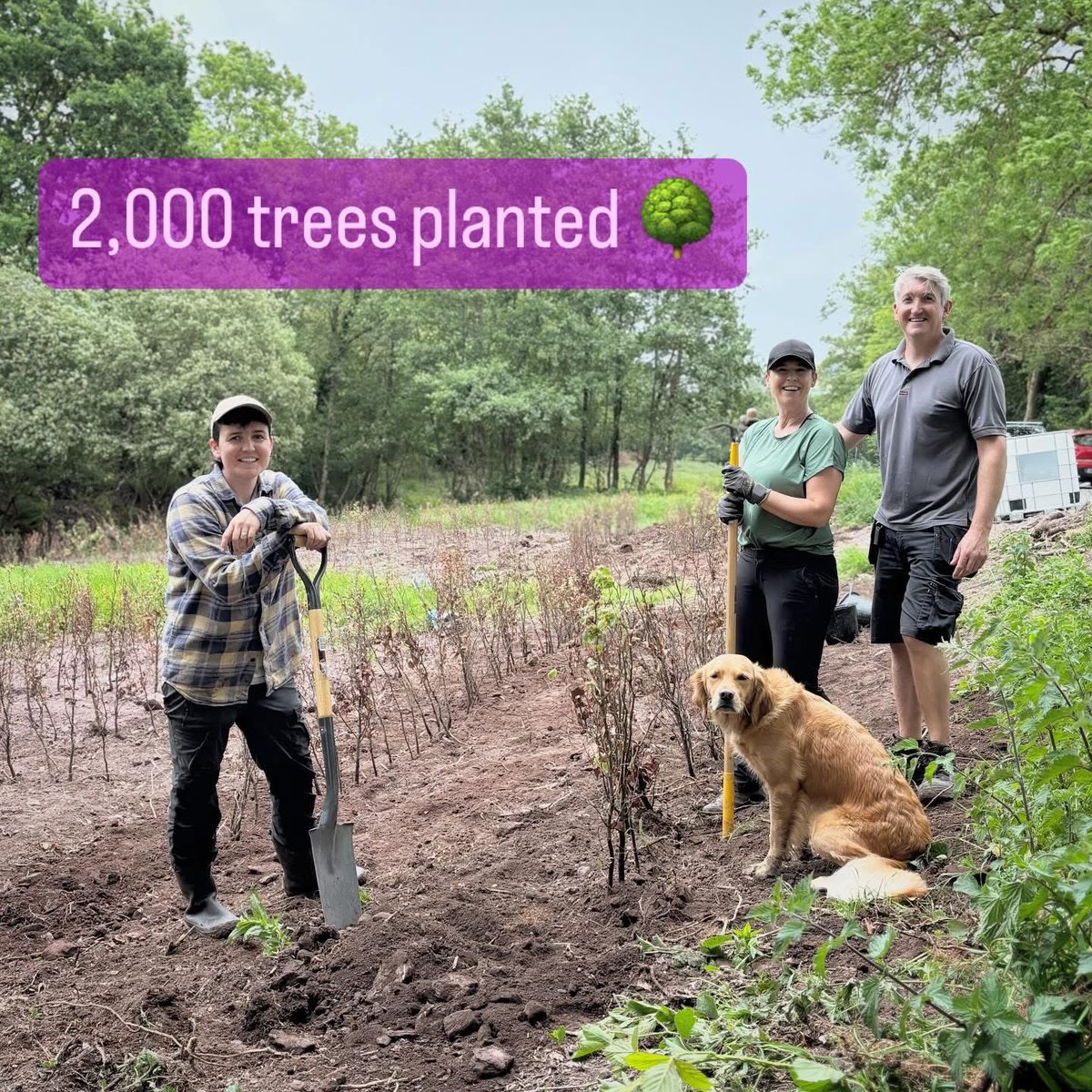 DogsForTheDisabled (@dogsfordisable1) on Twitter photo OMG we have 2,000 trees planted! Itโs been a huge amount of work but the sense of achievement today is immense. Thank you to everyone that sponsored a tree & all the volunteers that came to help us plant including <a href="/bostonsci/">Boston Scientific</a> , <a href="/Apple/">Apple</a> , MSD & our dedicated staff who helped. ๐ฒ๐๐ณ OMG we have 2,000 trees planted! Itโs been a huge amount of work but the sense of achievement today is immense. Thank you to everyone that sponsored a tree & all the volunteers that came to help us plant including <a href="/bostonsci/">Boston Scientific</a> , <a href="/Apple/">Apple</a> , MSD & our dedicated staff who helped. ๐ฒ๐๐ณ