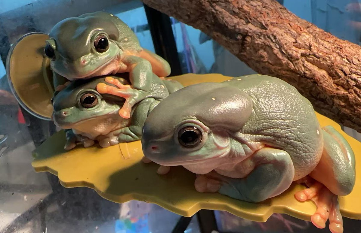 车恩胜sy (@shiyuuuu_) on Twitter photo 