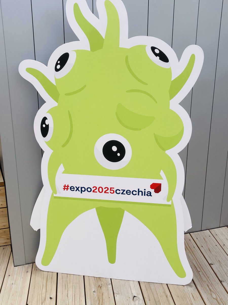 万博行ってきたのですが、とてもよかった。当日予約の最終枠にガンダム館へ滑り込んで見てきたけどめちゃ楽しかったねぇ…これ全く知らない人でも楽しめると思う、特に夜がオススメ。他の人気パビリオンは全敗した😭
自由入場のコモンズ館もあるし非常にgoodと思います。