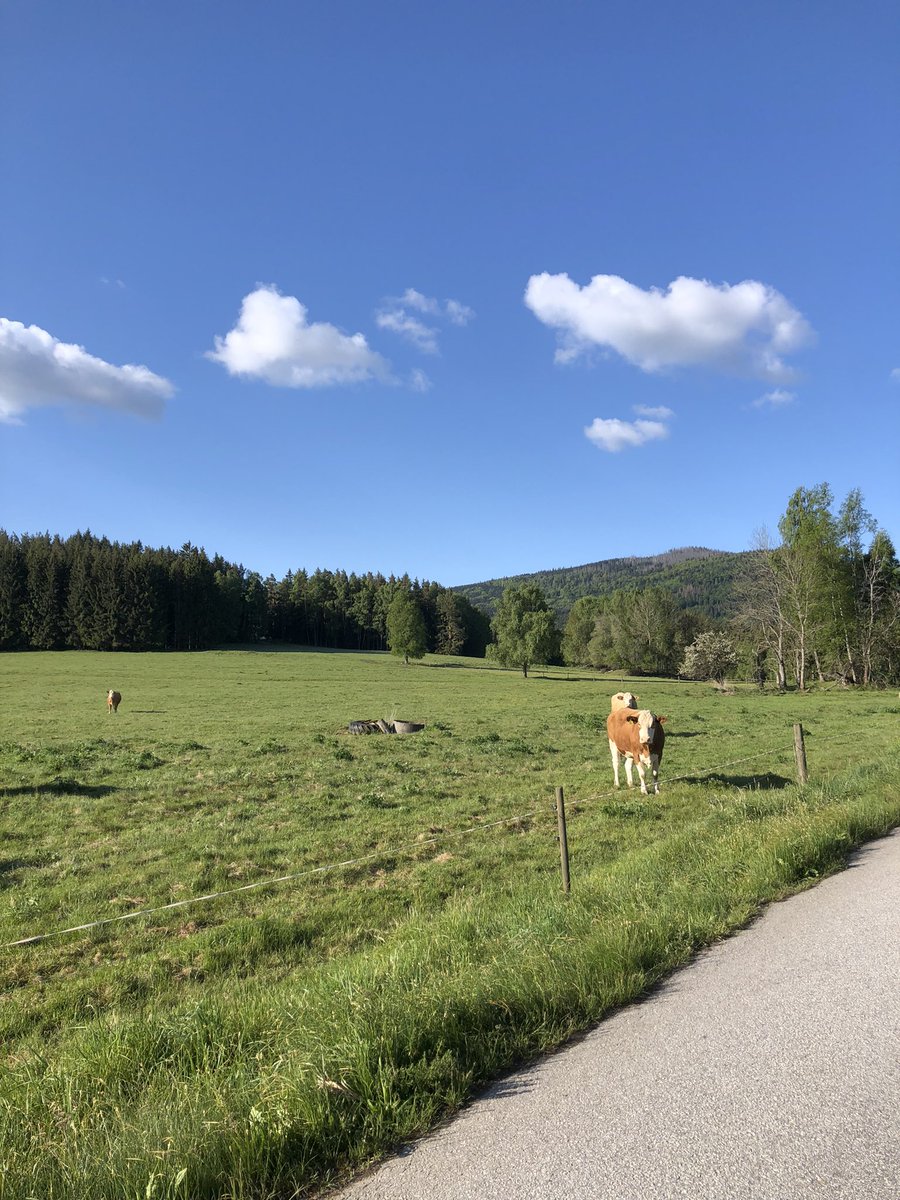 beatrizzd01's tweet photo. mi sábado perfecto!!! ⛰️🌿🌳🌤️🌸🍎 https://t.co/K7XdbDS3DK