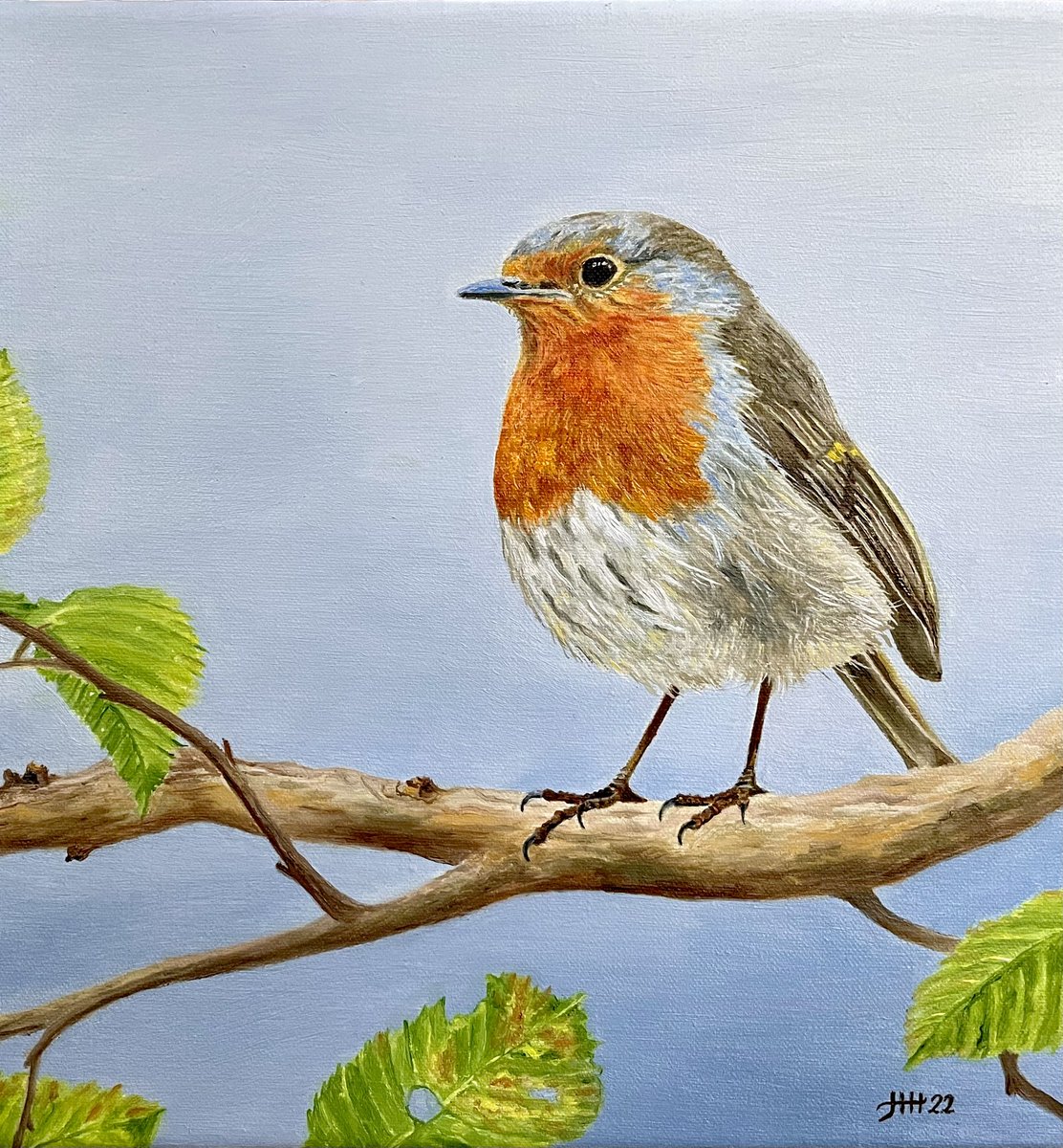 This is my painting “Robin: A sign of spring” 🎨 #robin #bird #birds #oilpainting #painting #art