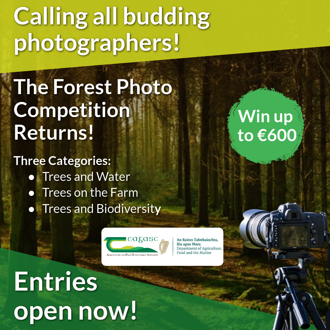 Teagasc (@teagasc) on Twitter photo Entries now open to the <a href="/teagascforestry/">Teagasc Forestry 🌳🌲🌳🌲</a> Development Department and <a href="/agriculture_ie/">Dept of Agriculture, Food and the Marine</a> Forest Photo Competition! Closing date 14 July 2025 at 5pm. Find out more information here bit.ly/4msJjeT Entries now open to the <a href="/teagascforestry/">Teagasc Forestry 🌳🌲🌳🌲</a> Development Department and <a href="/agriculture_ie/">Dept of Agriculture, Food and the Marine</a> Forest Photo Competition! Closing date 14 July 2025 at 5pm. Find out more information here bit.ly/4msJjeT