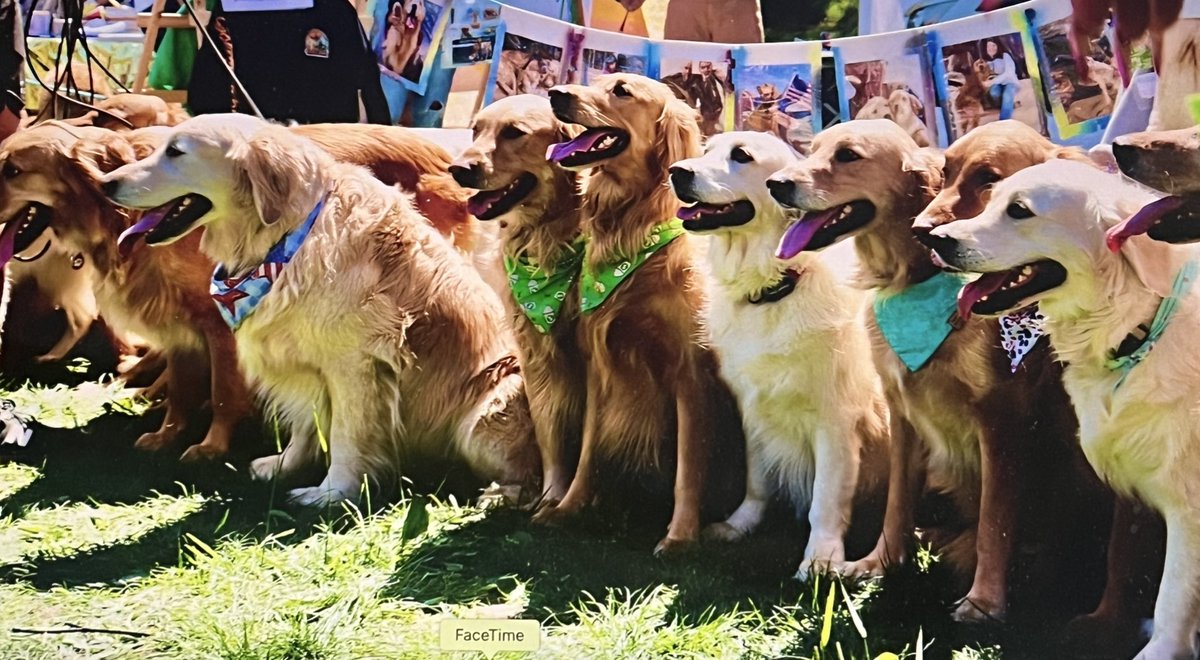 trish johnson tweet media