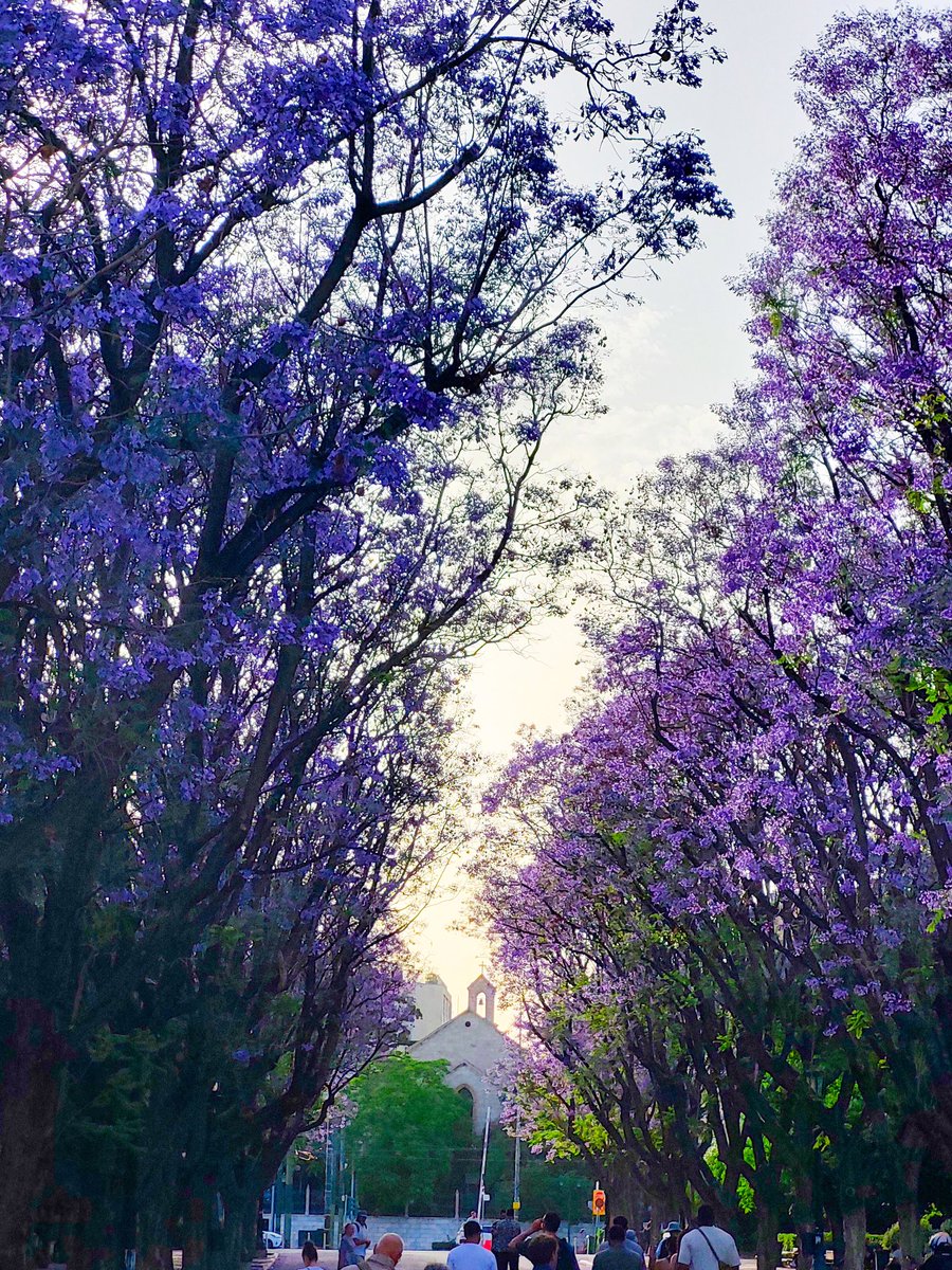 Όταν είναι άνοιξη στην πόλη 😍💙