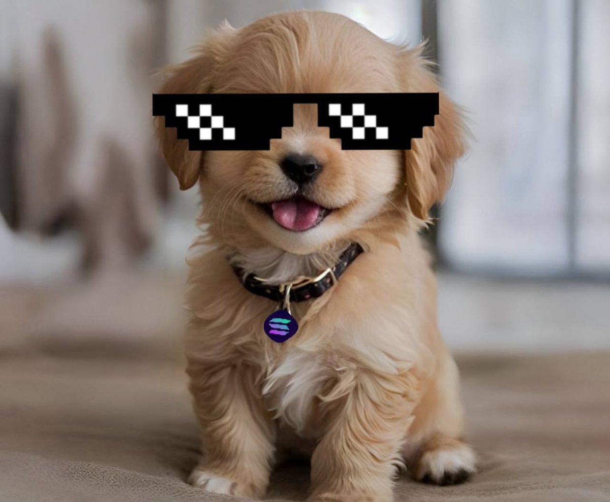 Summer_on_sol's tweet photo. cool kids only https://t.co/9TAMomxF1m