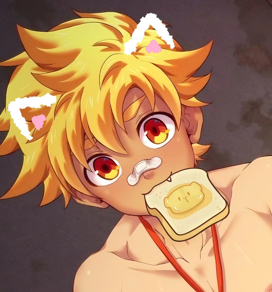 狮子shishio tweet media