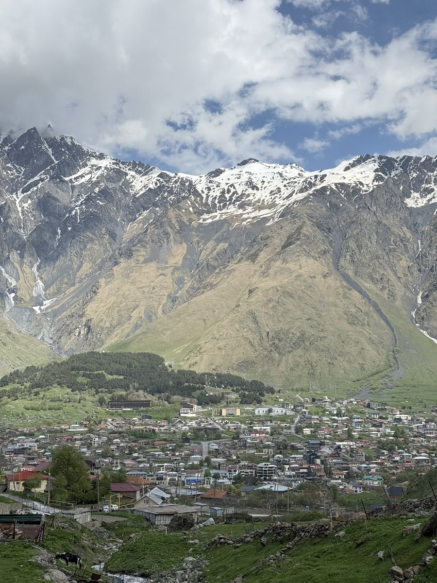 David Harrison tweet media