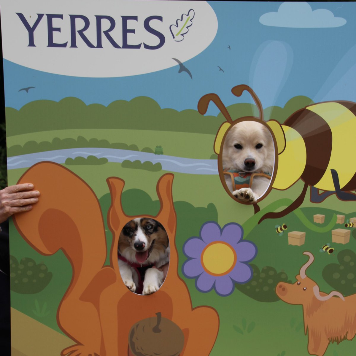 Beau succès ce samedi pour notre premier Salon du bien-être animal de la Ville de Yerres. Yerres, la ville amie des animaux ! Merci à Carole Pellisson, Émilie Frelat, Yoann Lowagie et toute les équipes de la Ville pour la parfaite organisation. #Yerres #Essonne #Animaux #Chien