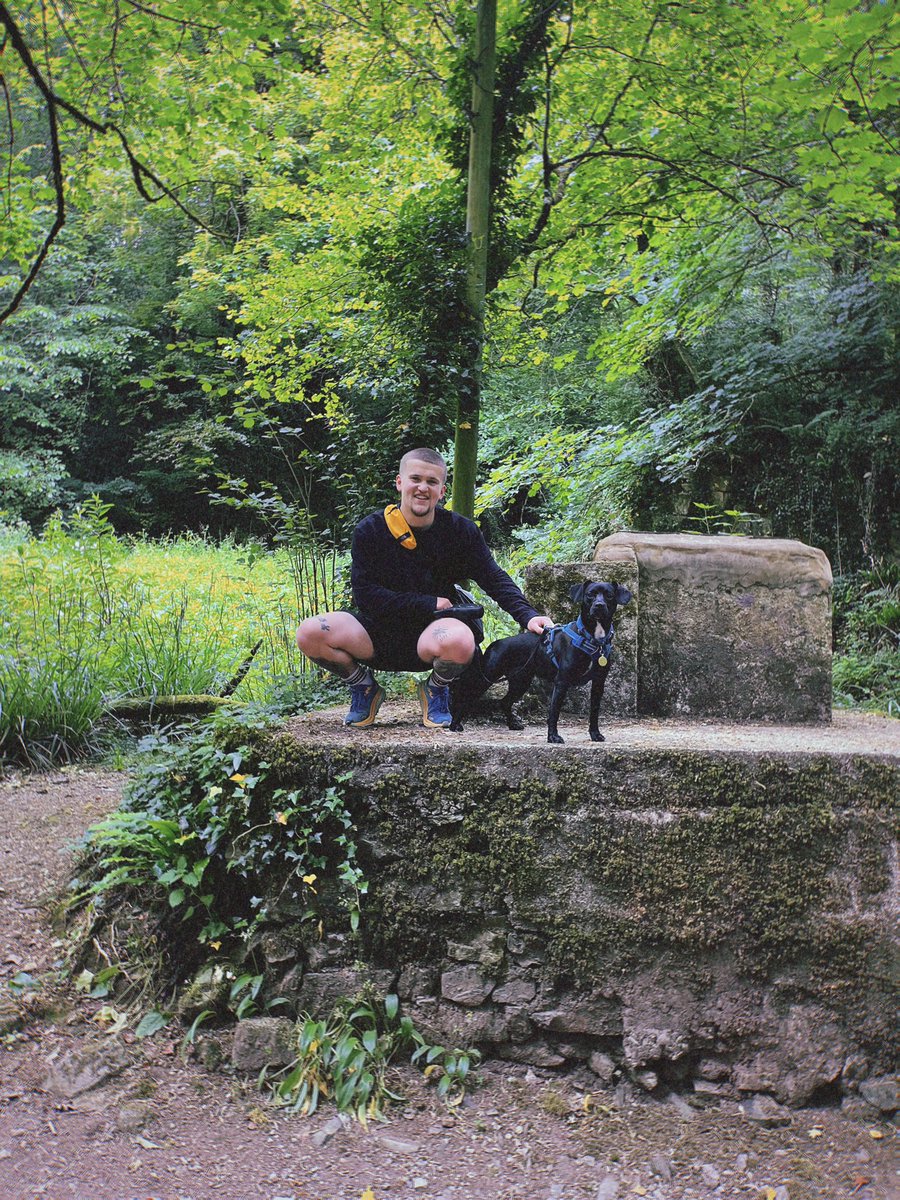 Sam Clark tweet media